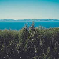 网站ddos隐藏源ip