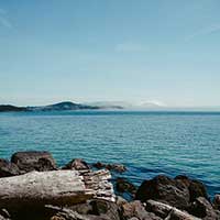 数字中心快速的ddos网页端源码