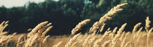 在线DDOS平台攻击