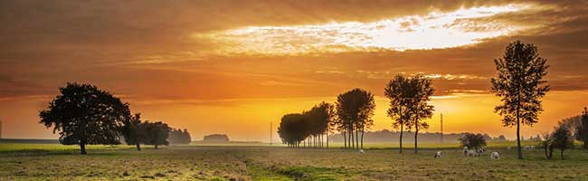 卡密代理加盟的ddos攻击在哪能买到